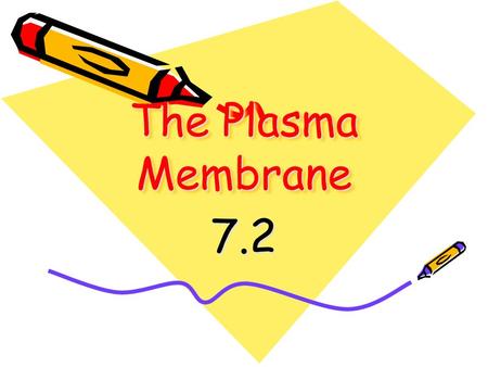 The Plasma Membrane 7.2. I. Maintaining Homeostasis A. ___________- The flexible boundary between the cell and its environment 1. A.K.A. Cell Membrane.