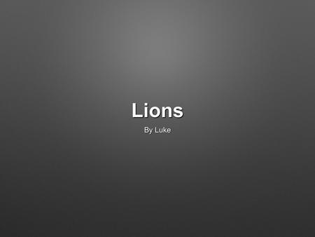 Lions By Luke.