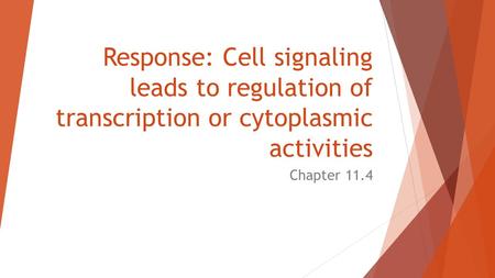 Response: Cell signaling leads to regulation of transcription or cytoplasmic activities Chapter 11.4.
