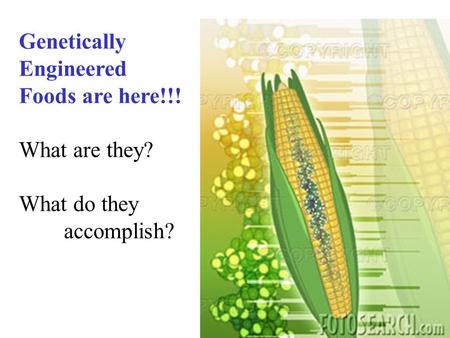 Genetically Engineered Foods are here!!! What are they? What do they accomplish?