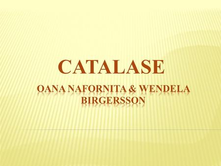 Oana Nafornita & wendela birgersson