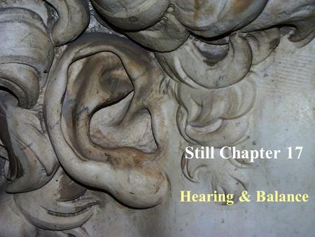 Still Chapter 17 Hearing & Balance. HEARING 3 main parts of the ear: Outer Ear Middle Ear Inner Ear.