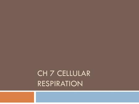 Ch 7 Cellular respiration