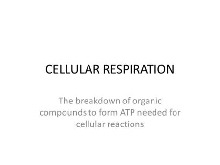 CELLULAR RESPIRATION The breakdown of organic compounds to form ATP needed for cellular reactions.