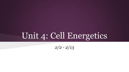 Unit 4: Cell Energetics 2/2 - 2/13. Monday 2/2 (No AT Today) Learning Targets: 1) I can explain where plants get the energy they need to produce food.