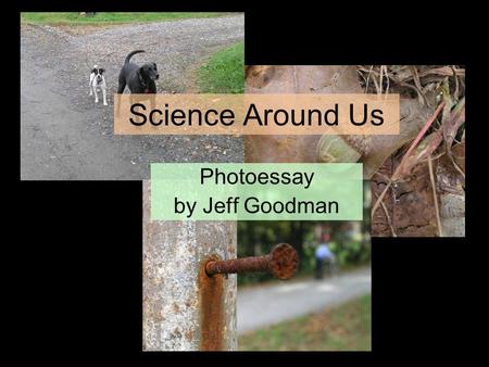 Science Around Us Photoessay by Jeff Goodman. How do flowers help a plant? How does an electric fence work? Why does your hand jump back if you touch.