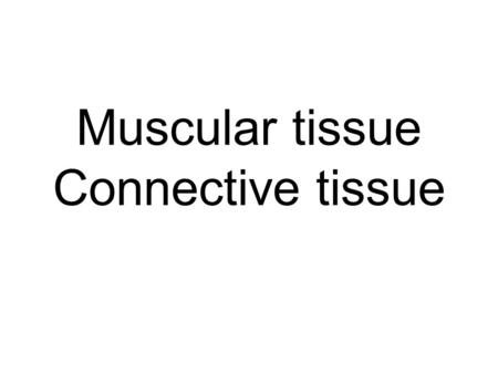Muscular tissue Connective tissue. Muscle Tissue Muscle cells/fibers – Elongated –Contain many myofilaments: Actin & Myosin FUNCTION –Movement –Maintenance.