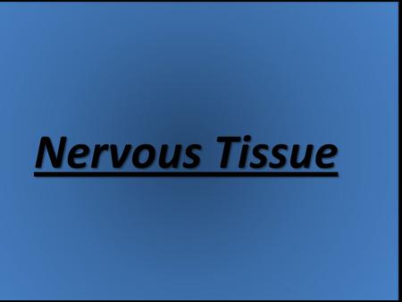 Nervous Tissue. Properties of it A nervous cell can also be called a neuron. It is made up of the brain, spinal cord and nerves.