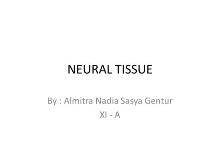 NEURAL TISSUE By : Almitra Nadia Sasya Gentur XI - A.