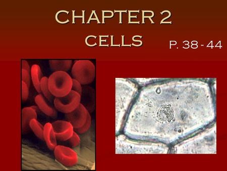 CHAPTER 2 cells P. 38 - 44 EARLY DISCOVERIES Anton Van Leeuwenhoek - made microscopes. - saw “critters” in a drop of water. - never seen before.
