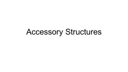 Accessory Structures. Accessory structures are tissues that are located in the dermis and epidermis that are not considered skin These structures include.