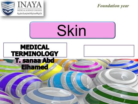 Foundation year Skin. After study this chapter you should be able to: 1.Compare the epidermis, dermis and subcutaneous tissue. 2.Describe the role of.