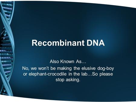 Recombinant DNA Also Known As… No, we won’t be making the elusive dog-boy or elephant-crocodile in the lab…So please stop asking.