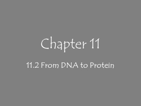 Chapter 11 11.2 From DNA to Protein.