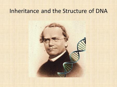 Inheritance and the Structure of DNA. Deoxyribonucleic Acid.