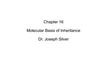 Chapter 16 Molecular Basis of Inheritance Dr. Joseph Silver.