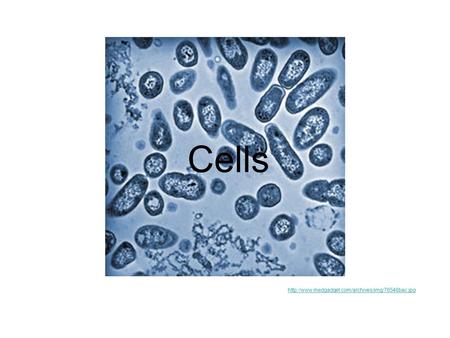 Cells http://www.medgadget.com/archives/img/76546bac.jpg.