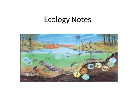 Ecology Notes. organism A complete living thing species Similar organisms that live in the same environment that can product fertile offspring.