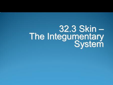 32.3 Skin – The Integumentary System
