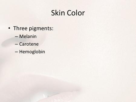 Skin Color Three pigments: – Melanin – Carotene – Hemoglobin.