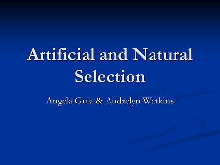 Artificial and Natural Selection Angela Gula & Audrelyn Watkins.