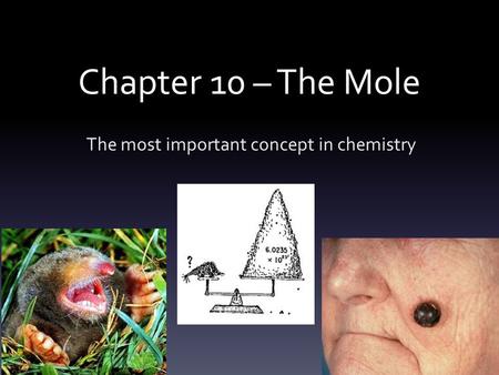 Chapter 10 – The Mole The most important concept in chemistry.