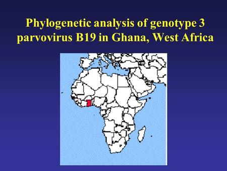 Phylogenetic analysis of genotype 3 parvovirus B19 in Ghana, West Africa.