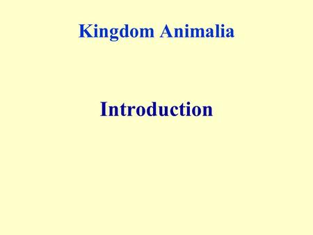 Kingdom Animalia Introduction.