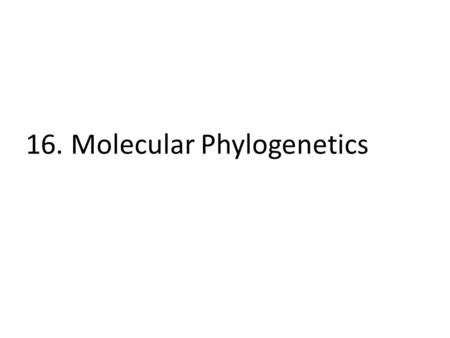 16. Molecular Phylogenetics