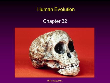 Human Evolution Chapter 32 Mader: Biology 8th Ed..