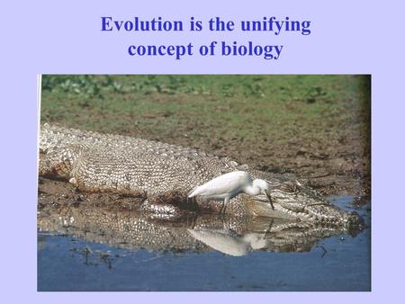 Evolution is the unifying concept of biology. Two Central Themes of Biology Adaptation - How and in what ways do organisms function and become better.