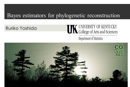 Bayes estimators for phylogenetic reconstruction Ruriko Yoshida.
