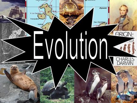 Evolution = a change over time Evolution of Dance In order for evolution to occur variation (changes) in genes such as mutations, must exist Organism’s.