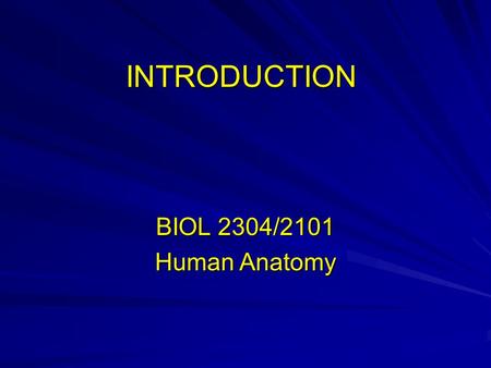 INTRODUCTION BIOL 2304/2101 Human Anatomy. Chapter objectives 1. Define anatomy and compare the different disciplines of anatomy 2. Recognize hierarchy.