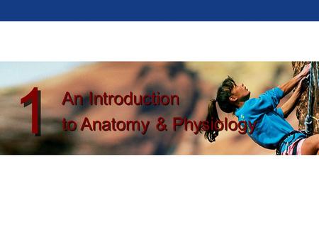 An Introduction to Anatomy & Physiology An Introduction to Anatomy & Physiology 1 1.