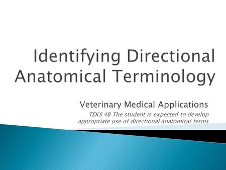 Identifying Directional Anatomical Terminology