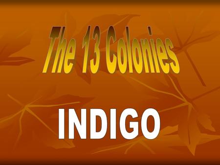 The 13 Colonies INDIGO.