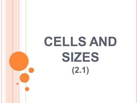 CELLS AND SIZES (2.1).