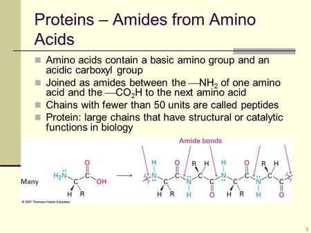 Proteins – Amides from Amino Acids