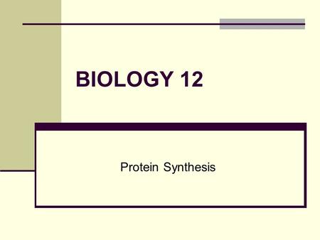 BIOLOGY 12 Protein Synthesis. Epigenetics our lifestyles and environment can change the way our genes are expressed do identical twins have the exact.