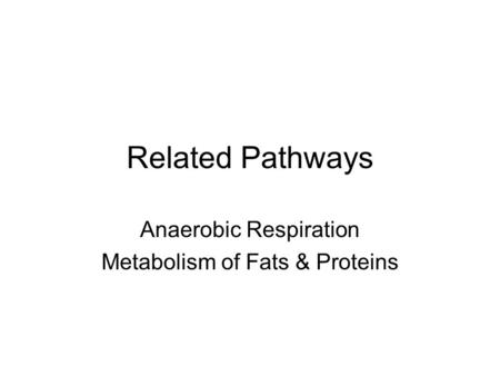 Related Pathways Anaerobic Respiration Metabolism of Fats & Proteins.