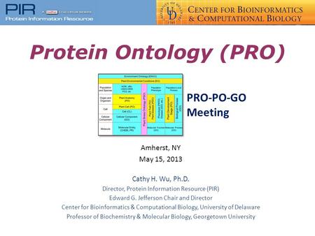 Protein Ontology (PRO) Amherst, NY May 15, 2013 Cathy H. Wu, Ph.D. Director, Protein Information Resource (PIR) Edward G. Jefferson Chair and Director.