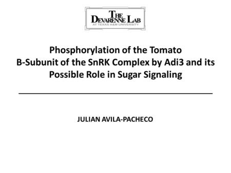 Phosphorylation of the Tomato Β-Subunit of the SnRK Complex by Adi3 and its Possible Role in Sugar Signaling JULIAN AVILA-PACHECO.