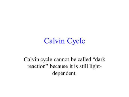 Calvin Cycle Calvin cycle cannot be called “dark reaction” because it is still light- dependent.