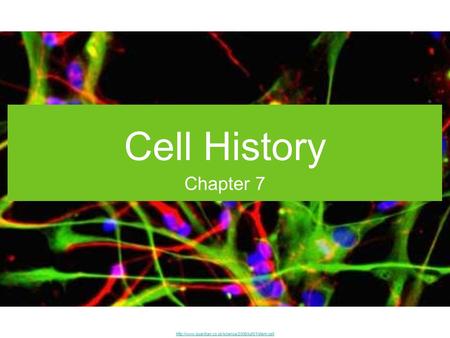 Cell History Chapter 7