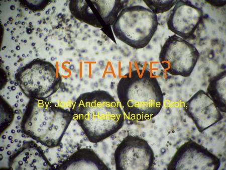 IS IT ALIVE? By: Jody Anderson, Camille Groh, and Hailey Napier.