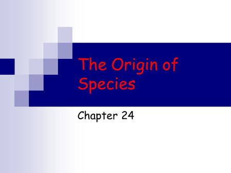 The Origin of Species Chapter 24. Basic Patterns of Evolution Anagenesis  one species accumulates heritable changes, gradually the species becomes a.