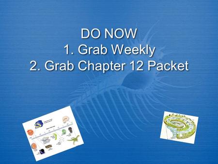 DO NOW 1. Grab Weekly 2. Grab Chapter 12 Packet