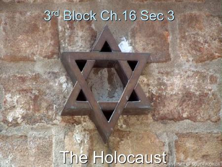 3rd Block Ch.16 Sec 3 The Holocaust. Members Brittany Jemison Michael Hatcher Asia Haygood PJ Cross John Poe.