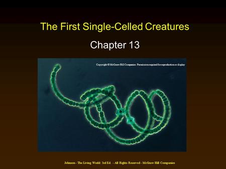 Johnson - The Living World: 3rd Ed. - All Rights Reserved - McGraw Hill Companies The First Single-Celled Creatures Chapter 13 Copyright © McGraw-Hill.